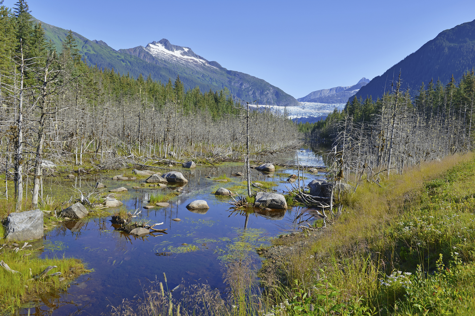 Wilderness Landscape in Alaska